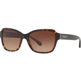 Coach HC8232 L1010 550713 56 Solbriller Kvinder Tortoiseshell - Dark Tortoise - 56mm