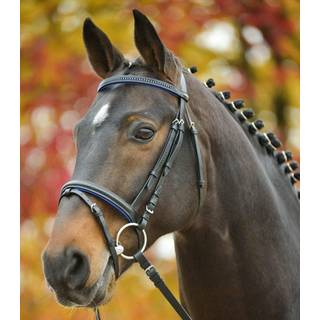 Waldhausen Star Trense Diamond