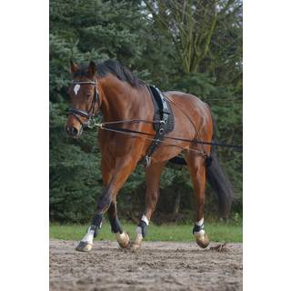 Waldhausen Pessoa Longe