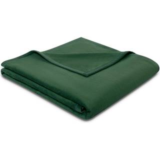 Luksus Bomuldsplaid fra BIEDERLACK – PURE COTTON ALGE