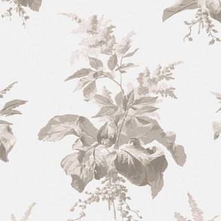 Laura Ashley Wallpaper Narberth 119850