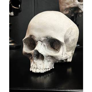 J. DOE Totenkopf 17cm