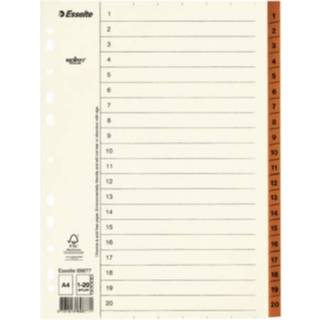 ESSELTE Register Servo A4/1-20, 10 stk. 69877