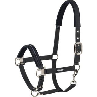 Eskadron PIN BUCKLE Grime - Black - Cob - 60 cm
