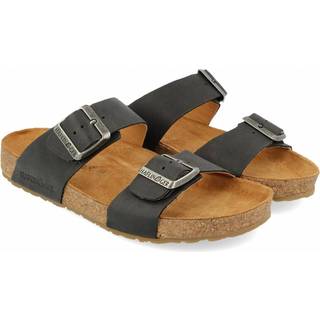 Haflinger Bio Andrea Schwarz Country