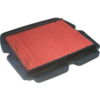 Hiflofiltro HFA1921 Premium OEM Replacement Air Filter Single