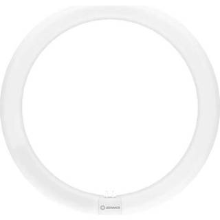 Ledvance LED Lysrør T9 Value Rundt (EM/Mains) 18.3W 2200lm - 840 kold hvid | erstatter 32W