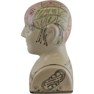 Stor keramisk krakelglaseret frenologi-hoved