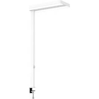 LED-bordlampe MAULjaval, hvid, 120 cm, dæmpbar, klemmefod