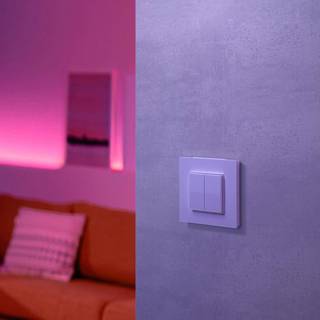 Die Versteckdose® Hidden Socket Friends of Hue tastekontakt, Hvid/opal, Plast
