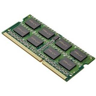 PNY - DDR3L - module - 8 GB - SO-DIMM 204-pin - 1600 MHz / PC3L-12800 - unbuffered