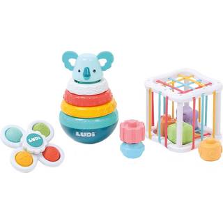 LUDI Box with Motor Skill Toys