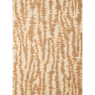 Zebra Glance - Terracotta