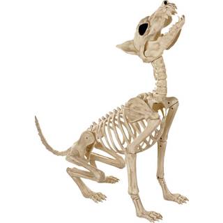 Werwolf Skelett 70cm