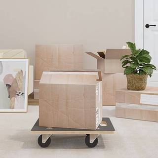 møbelhunde 2 stk. 50x35x11,5 cm 250 kg rektangulær