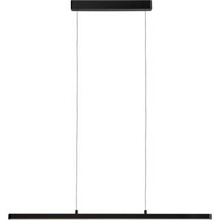 Paulmann Lento LED-pendel ZigBee CCT dim sort