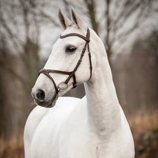 Källquist Knight "Arthur" trense - Sort, Full