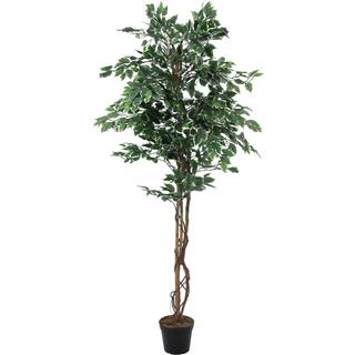 Europalms Variegated Ficus, artificial plant, 180cm TILBUD NU brogede flot