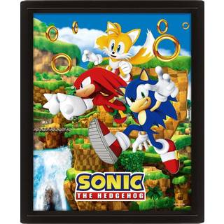 SONIC - Catching Rings - 3D Lenticular Poster 26x20cm