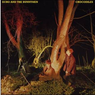 Echo & the Bunnymen - Crocodiles