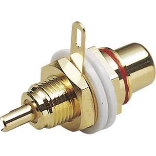 BKL Electronic 101142