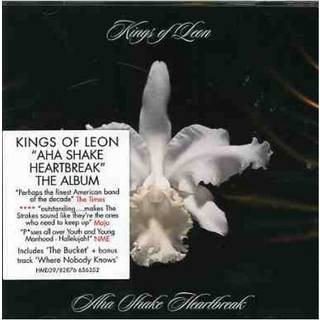 Kings of Leon - A-ha Shake Heartbreak