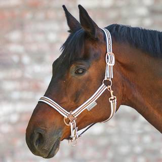 Waldhausen Heste Grime Shine Hvid/Rosegold