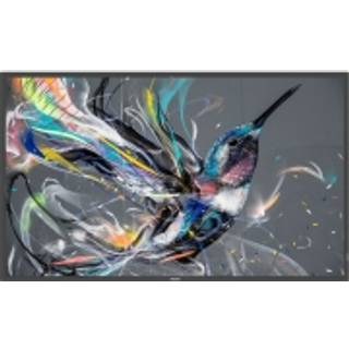 PHILIPS 55" Direct LED 4K Display powered by An