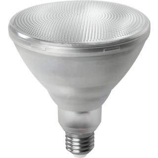 NASC Plantelampe LED E27 12W IP55 M-VL6273812