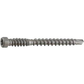 Arne Thuresson CPTX55U1000 Panelskrue båndet, Ø4,2 mm, BS, TX20 Ø4,2 x 55 mm, pakke med 1000