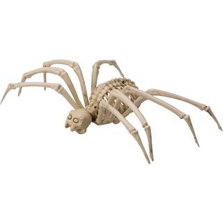 Edderkop skelet
