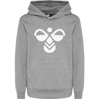 hummel Cuatro hoodie - 2800