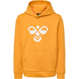 Hummel Kids' hmlCUATRO Hoodie Butterscotch, 116