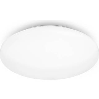 LED-loftslampe Case til badeværelset IP44 3.000K Ø 40cm