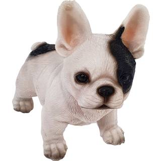 Fransk bulldog - Hvid med pletter - Stående