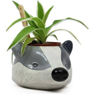 HARRY POTTER - Hufflepuff - Plant Pot