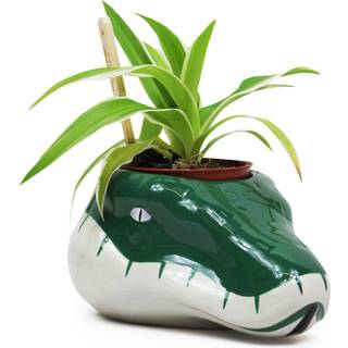 HARRY POTTER - Slytherin - Plant Pot