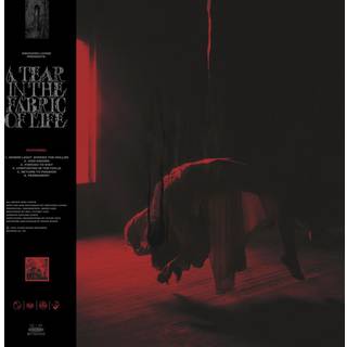 Knocked Loose - A Tear in the Fabric of Life