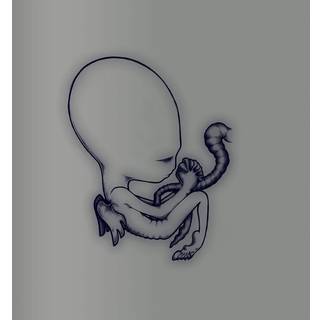 Sigur Rós - Agaetis Byrjun (A Good Beginning) (20th Anniversary Edition) (Reissue) (4 CD)
