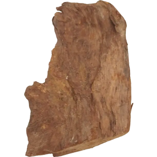 Catappa - mandelblade ps. á 10 stk.