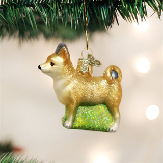 Old World Christmas Ornaments: Dog Collection Glass blæst ornamenter til juletræ chihuahua