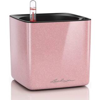 Cube Glossy 14 Cashmere High-Gloss Glitter