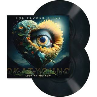 The Flower Kings - Look At You Now