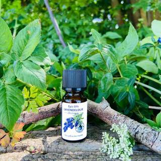 Epic Oils 100% ren æterisk Lavendelolie Øko. 10 ml