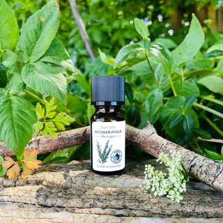 Epic Oils 100% ren æterisk Rosmarinolie - Økologisk - 10 ml.