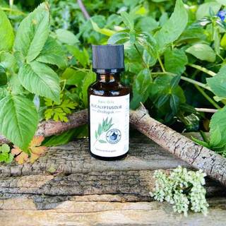 Epic Oils 100% ren æterisk Eucalyptusolie - Økologisk - 30 ml.