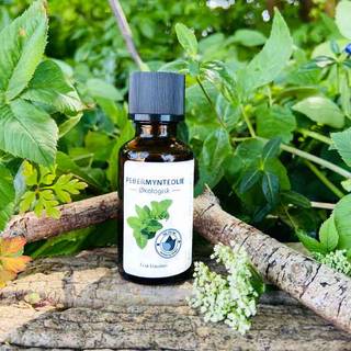 Epic Oils 100% ren æterisk Pebermynteolie - Økologisk - 30 ml.