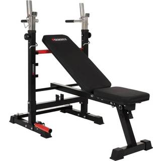 Finnlo Folding Bench And Barbell Rack Force 4.0