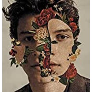 Shawn Mendes