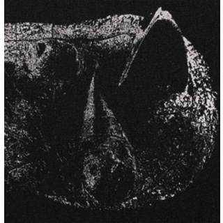 Demon Head - Viscera